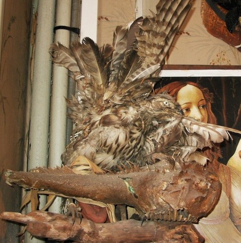 moliere2_10.JPG